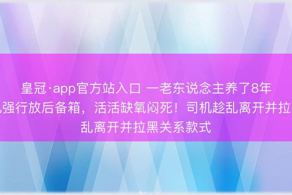 皇冠·app官方站入口 一老东说念主养了8年的猫被司机强行放后备箱，活活缺氧闷死！司机趁乱离开并拉黑关系款式