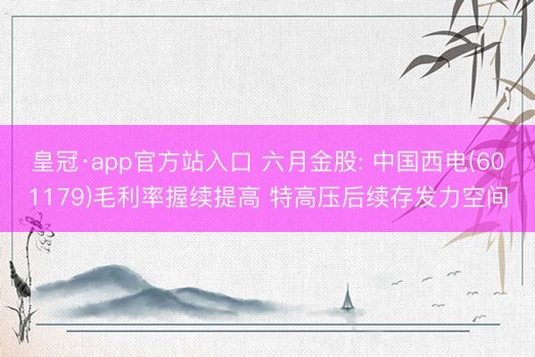 皇冠·app官方站入口 六月金股: 中国西电(601179)毛利率握续提高 特高压后续存发力空间