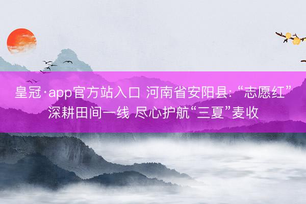 皇冠·app官方站入口 河南省安阳县: “志愿红”深耕田间一线 尽心护航“三夏”麦收