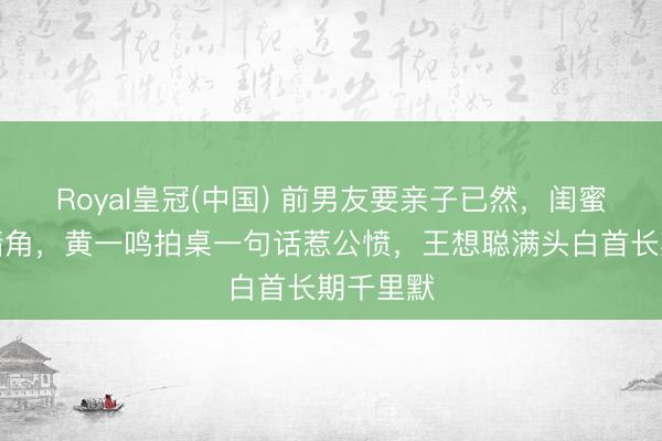 Royal皇冠(中国) 前男友要亲子已然，闺蜜揭她撬墙角，黄一鸣拍桌一句话惹公愤，王想聪满头白首长期千里默