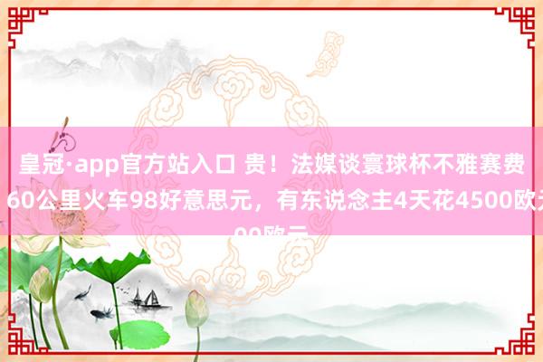 皇冠·app官方站入口 贵！法媒谈寰球杯不雅赛费：60公里火车98好意思元，有东说念主4天花4500欧元