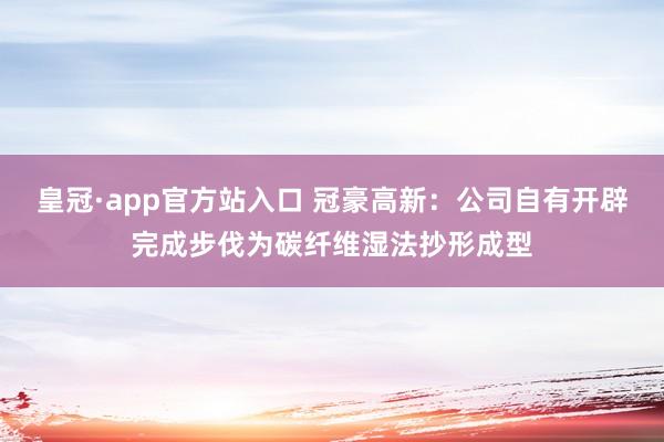 皇冠·app官方站入口 冠豪高新：公司自有开辟完成步伐为碳纤维湿法抄形成型